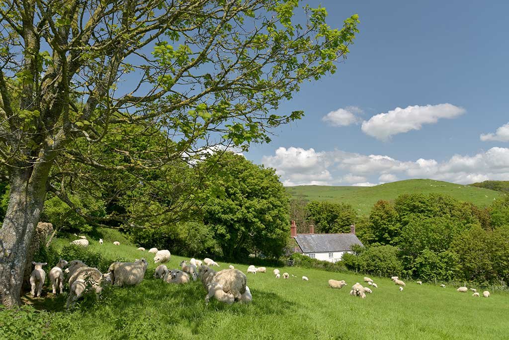 Surrounding countryside