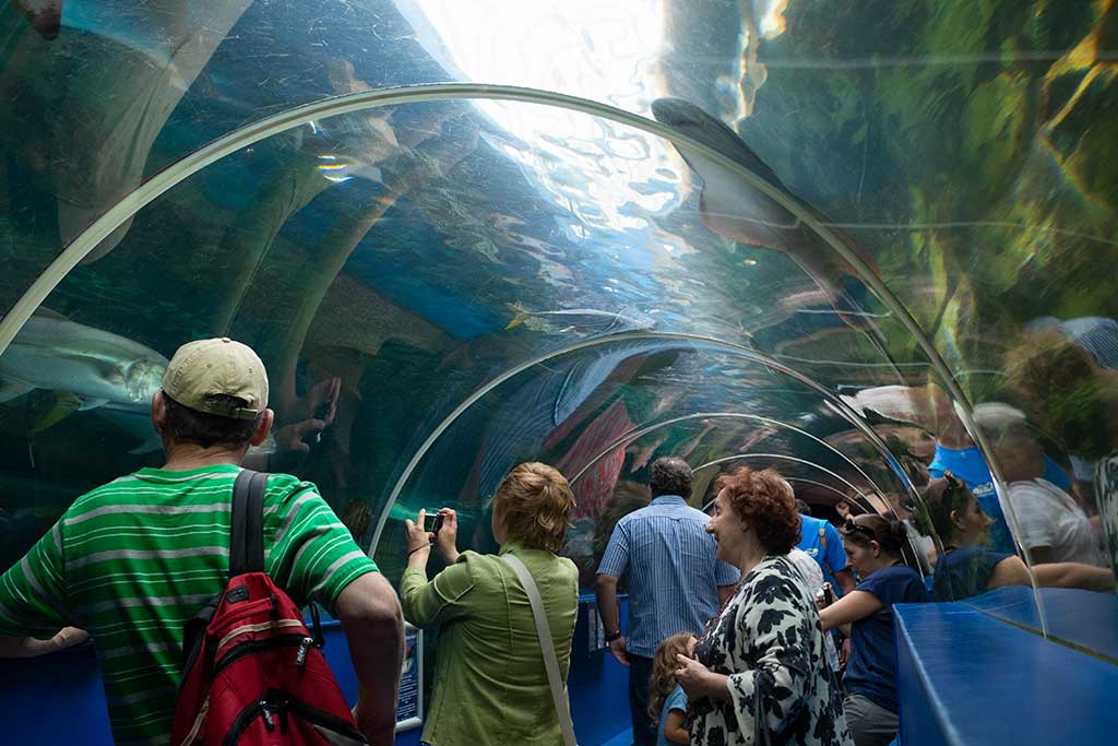 Bournemouth Oceanarium Opening Hours & Ticket Prices Dorset Guide