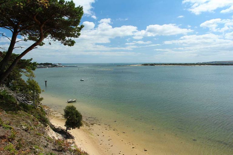Brownsea Island Ticket Prices and How to Get There Dorset Guide