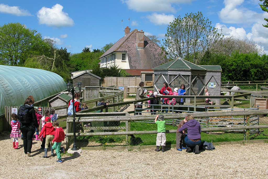 Kingston Maurward Animal Park