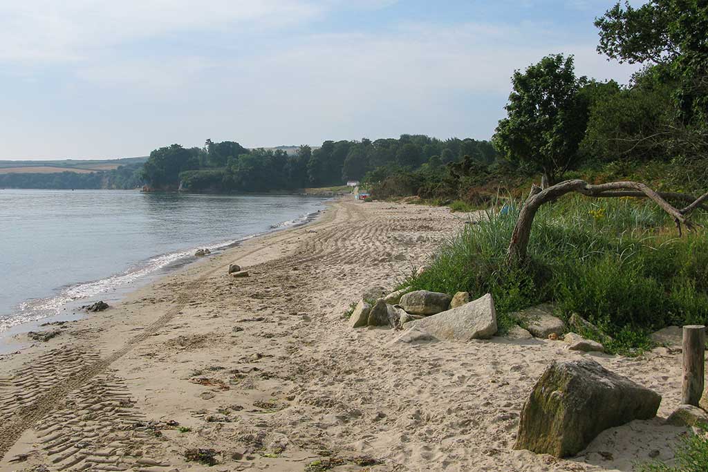Knoll Beach Studland Dorset Guide