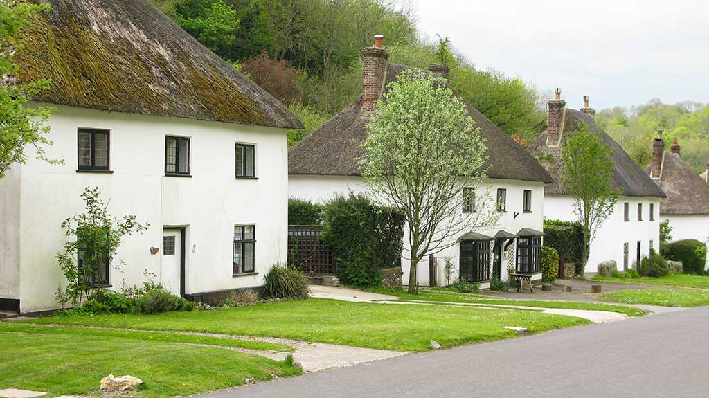 Thatched cottages lining the High Street at Milton Abbas