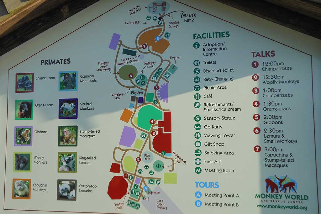 Monkey World Dorset Map Monkey World - Visitor Information And Ticket Price | Dorset Guide
