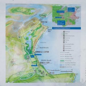 Shell Bay Beach Studland - Dorset Guide