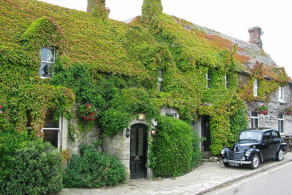 Photo of the Bankes Arms Inn.