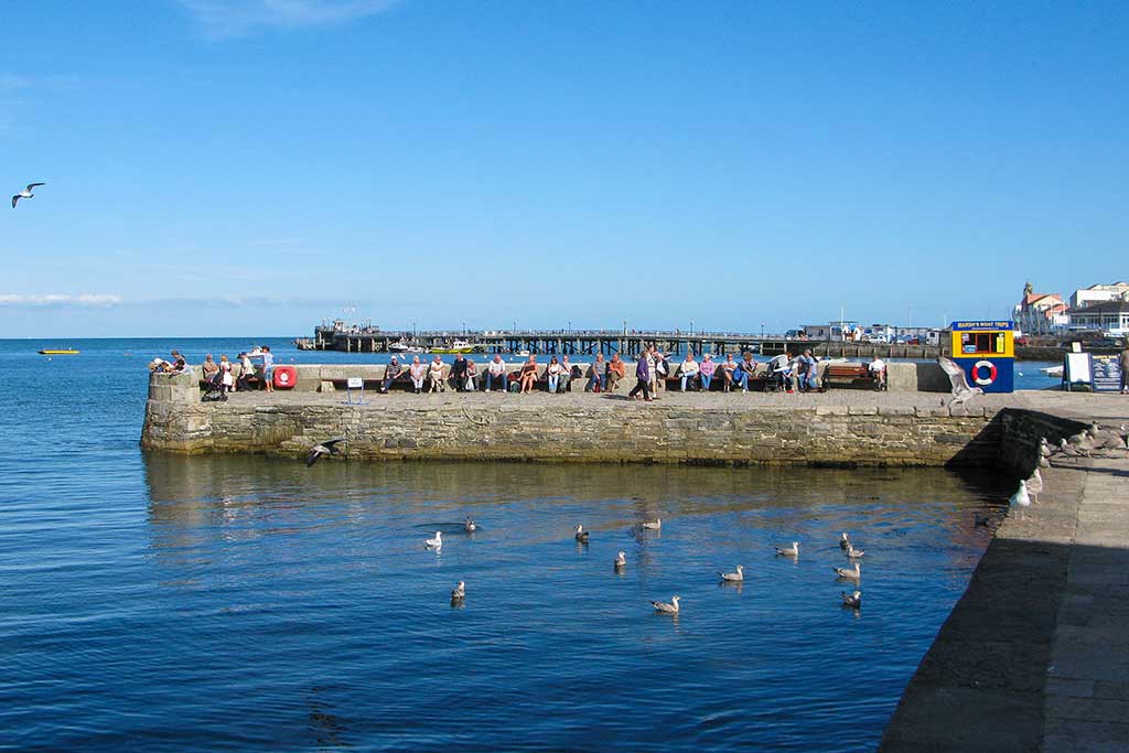 city cruises poole swanage