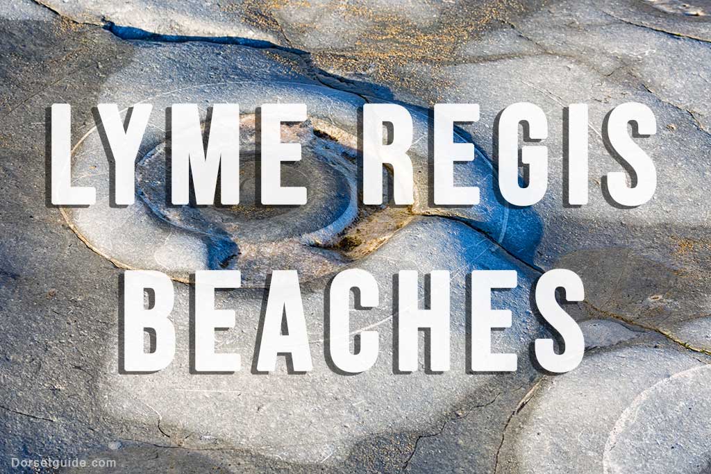 Lyme Regis Beach Guide