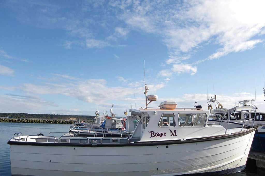 Boney M Fishing Charters, Poole