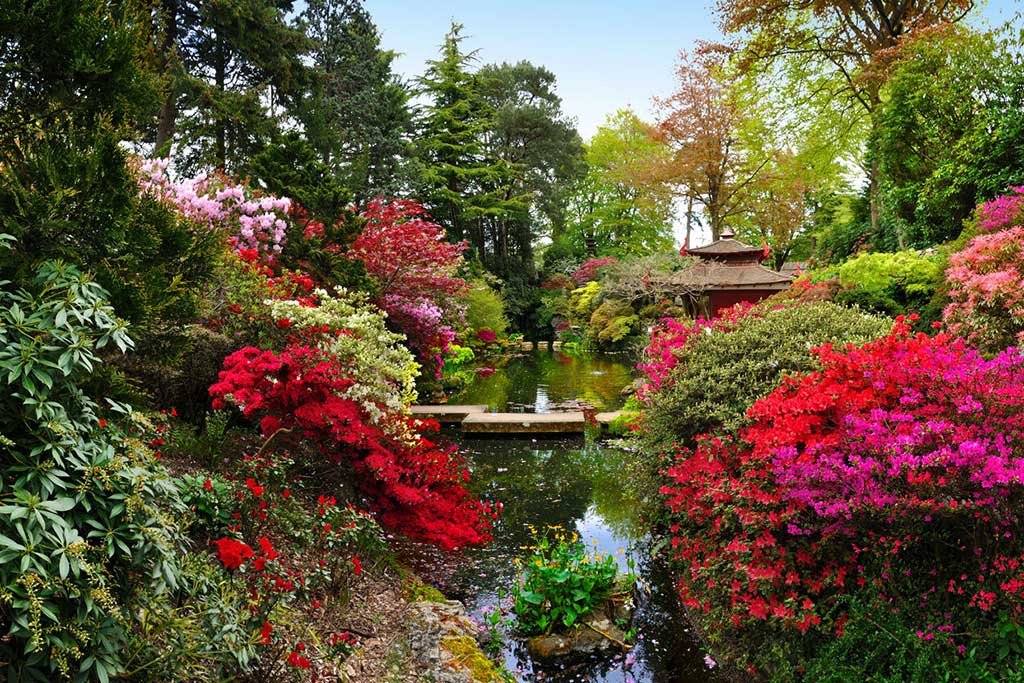 Compton Acres, Poole