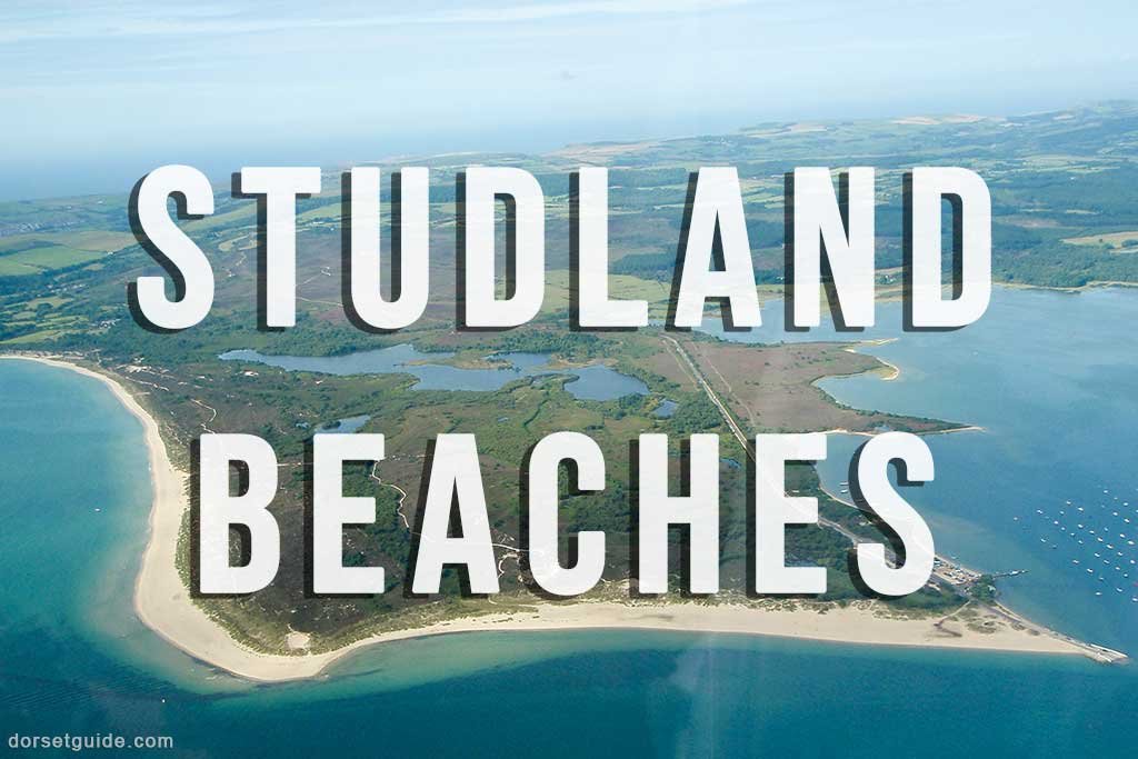 Studland Beaches Guide Dorset